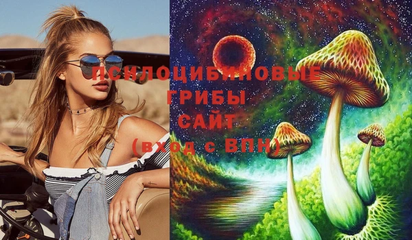 СК Арсеньев