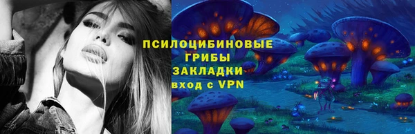 СК Арсеньев